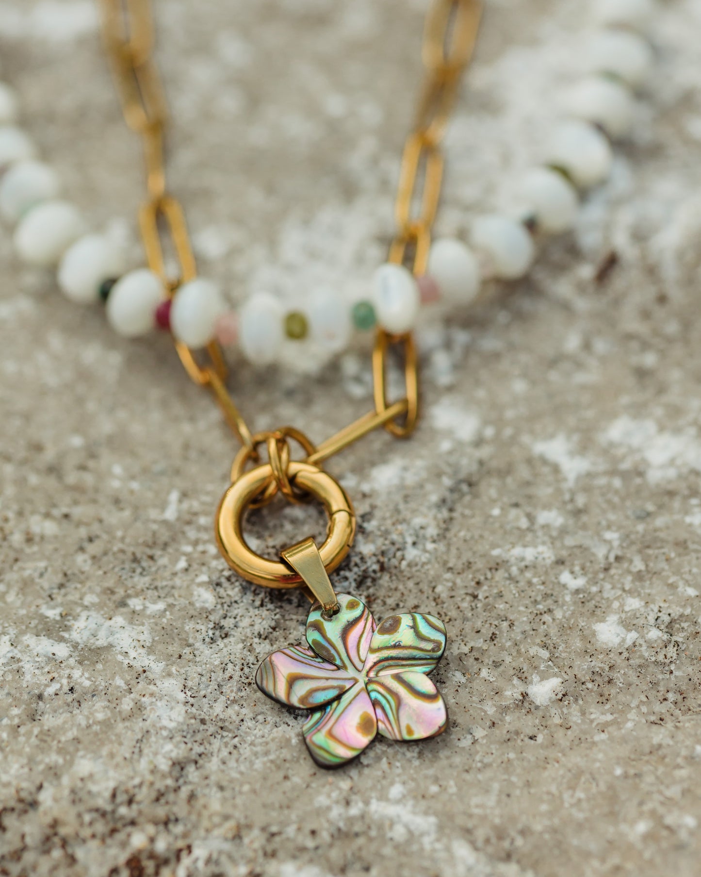 : Close-up of the Maui Bloom abalone shell flower reflecting turquoise, lavender, emerald, and pearl tones
