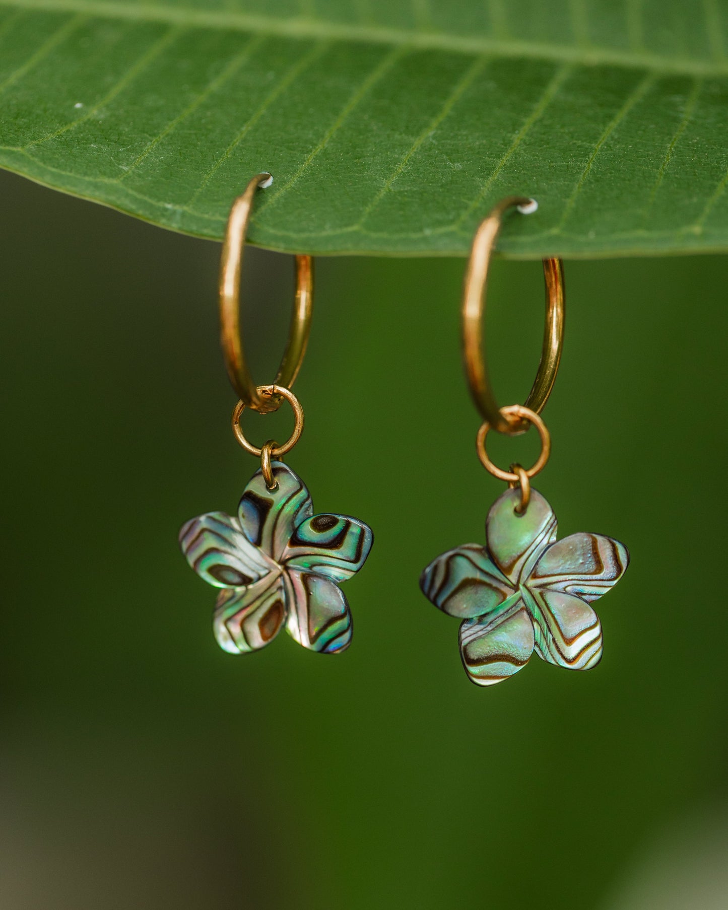 Hand-carved genuine abalone shell plumeria flower earrings suspended from 18K Gold PVD stainless steel hoop earrings with naturally iridescent ocean-inspired colors.