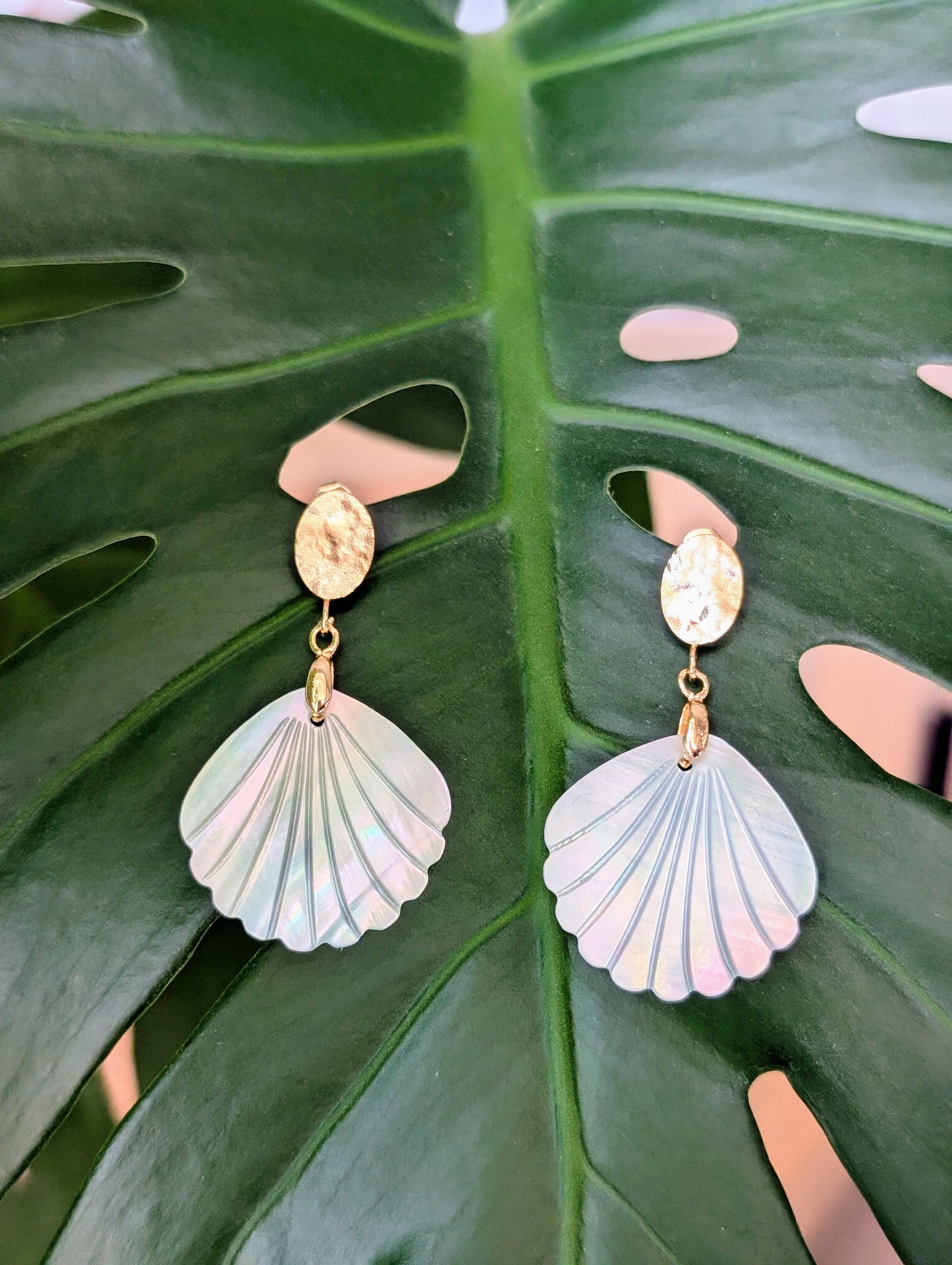 Sheila Shell Earrings