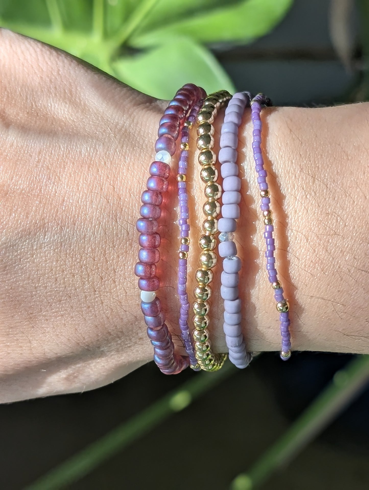 Premium Starter Stack - Plum Horizon