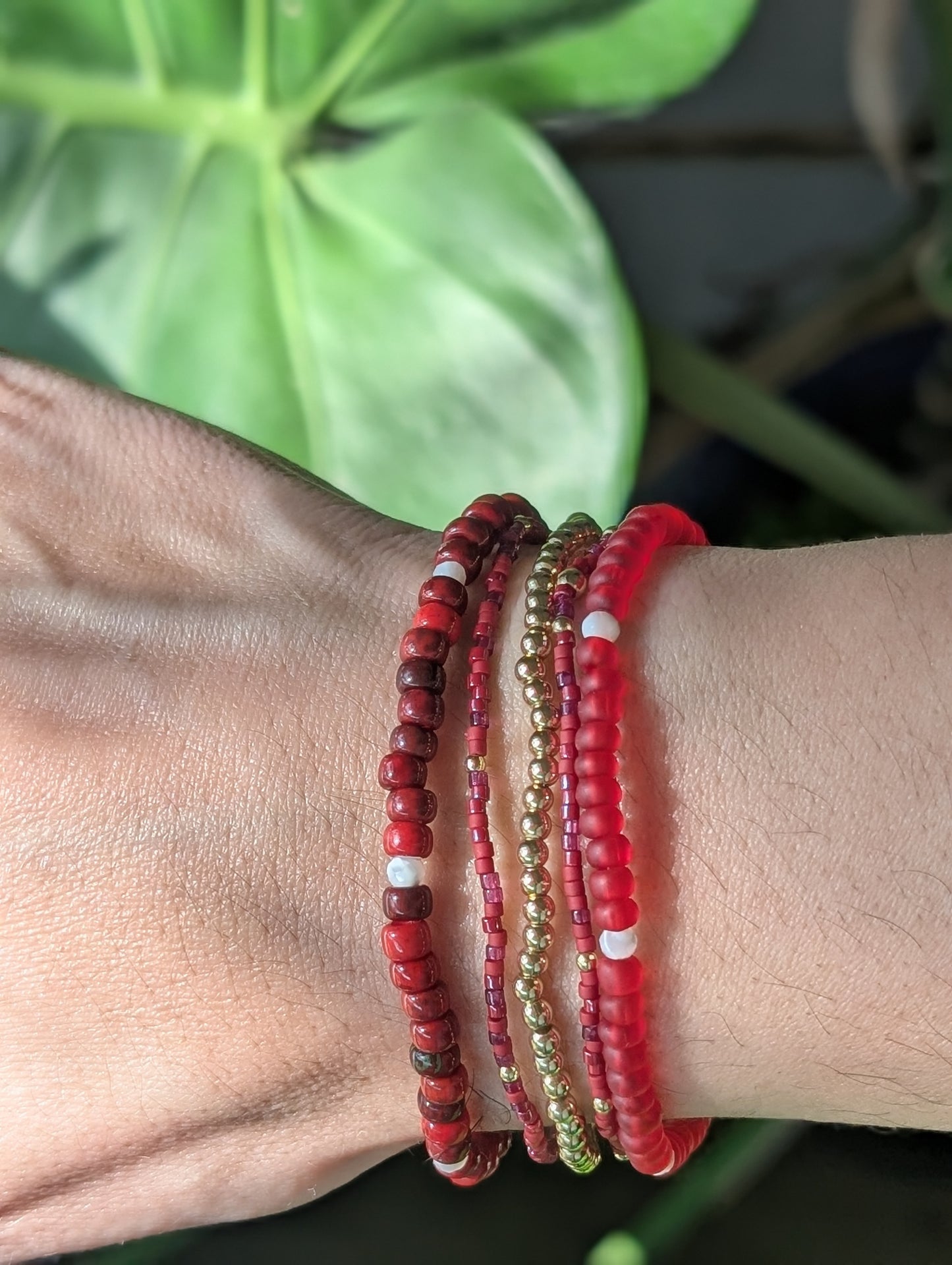 Premium Starter Stack - Coral Reef