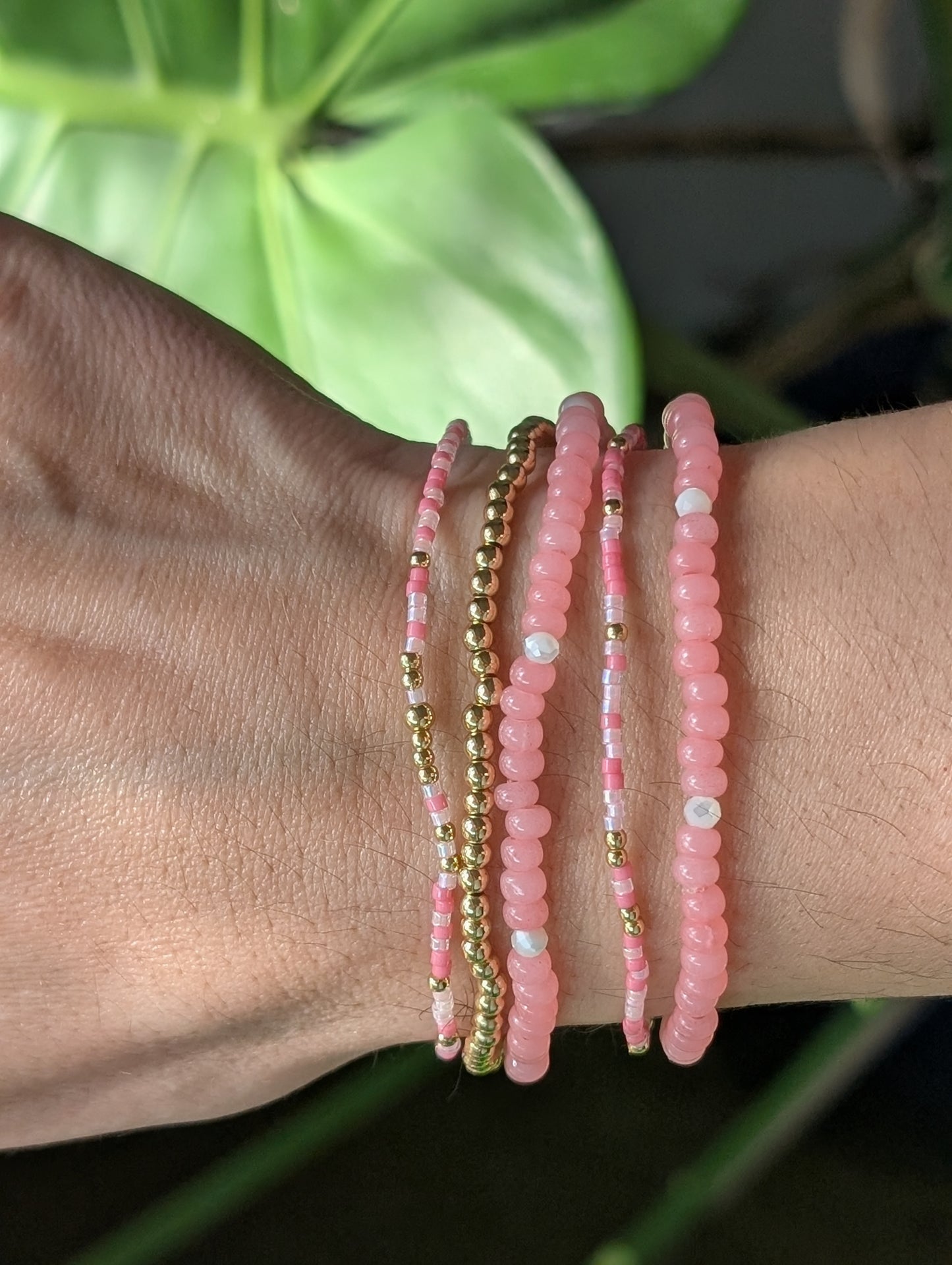 Premium Starter Stack - Flamingo