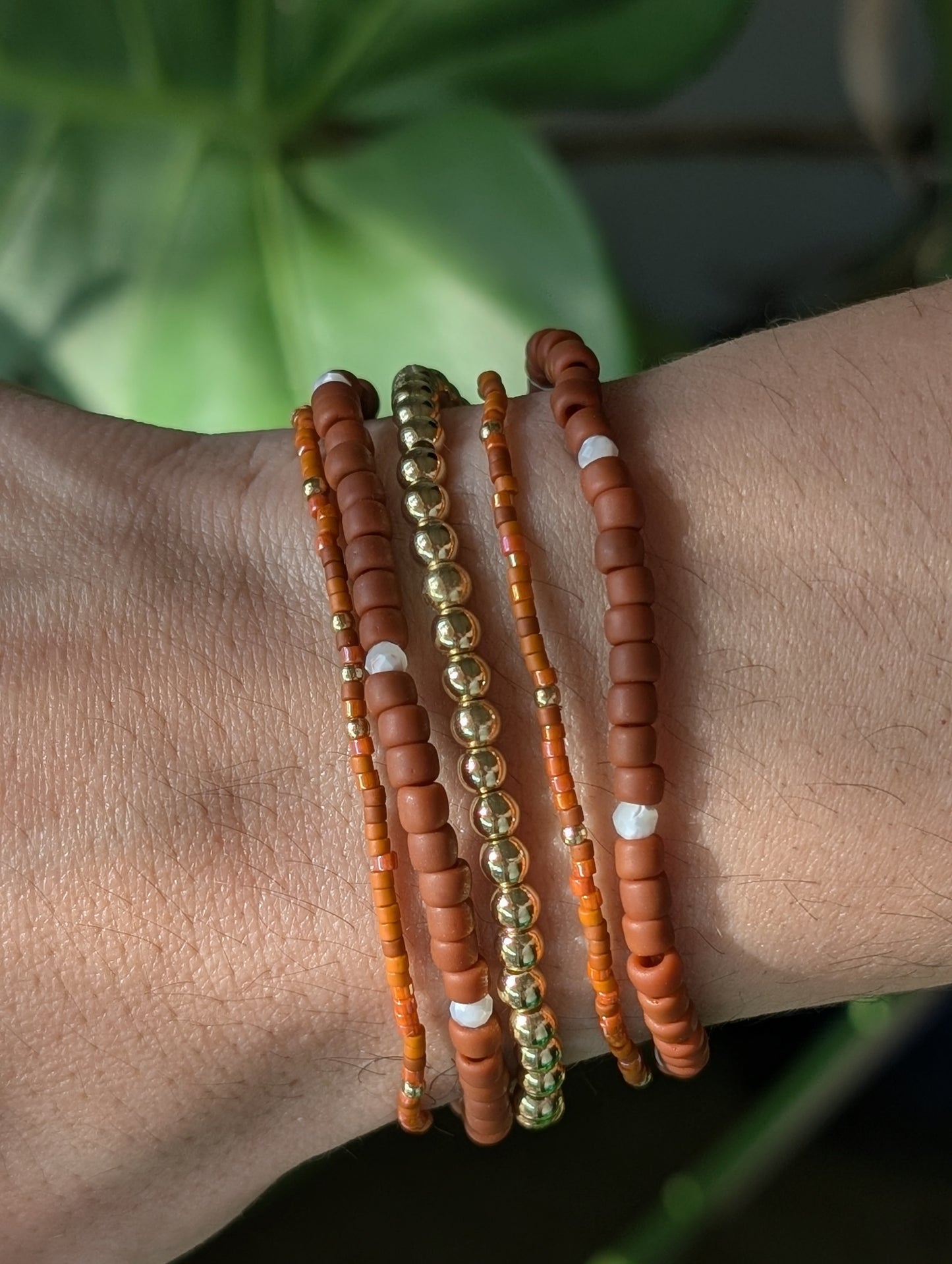 Premium Starter Stack - Seaside Sienna