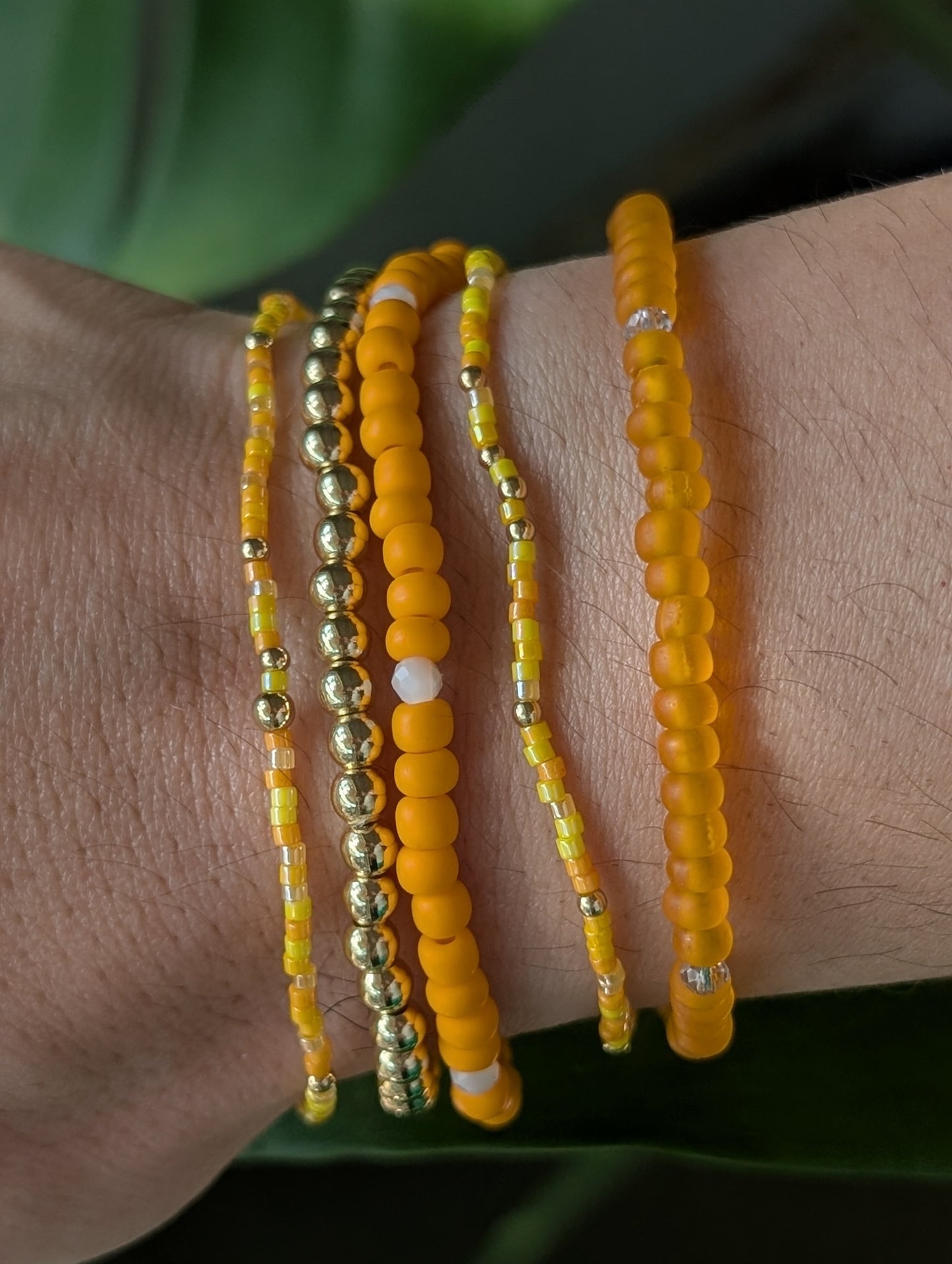 Premium Starter Stack - Tangerine Tide