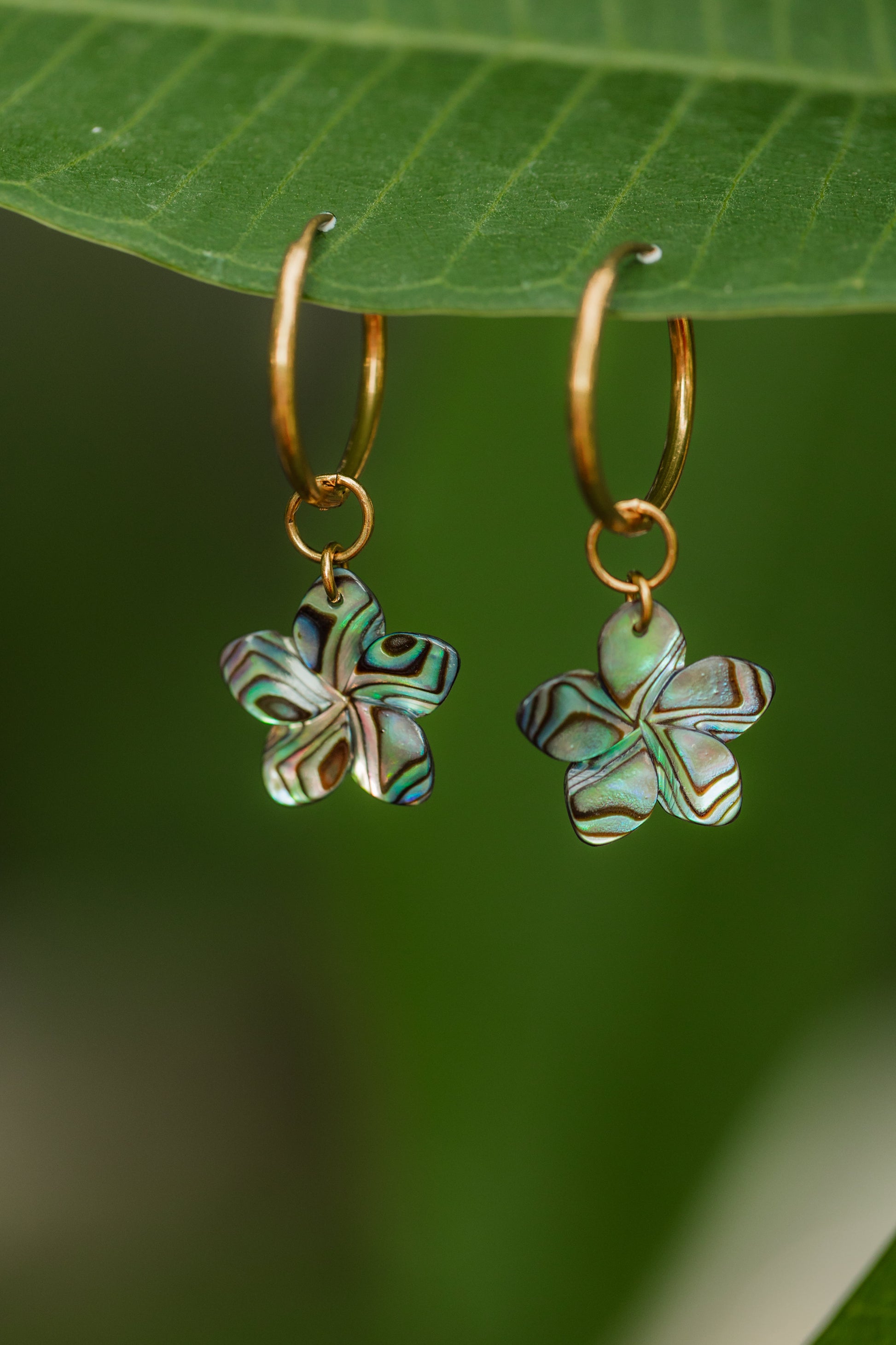 Hand-carved genuine abalone shell plumeria flower earrings suspended from 18K Gold PVD stainless steel hoop earrings with naturally iridescent ocean-inspired colors.