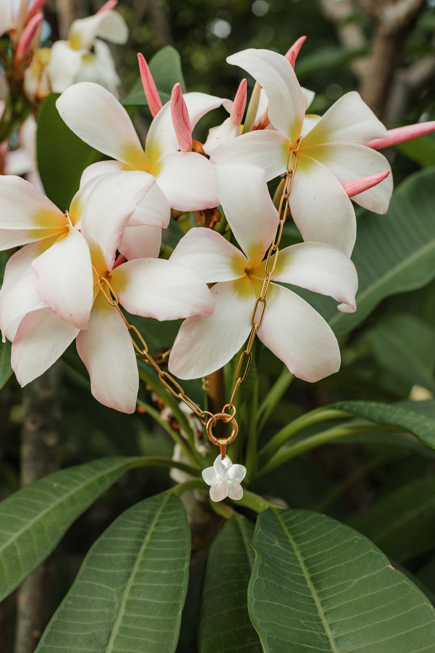 Floral-themed necklace with white flowers against a green leafy background