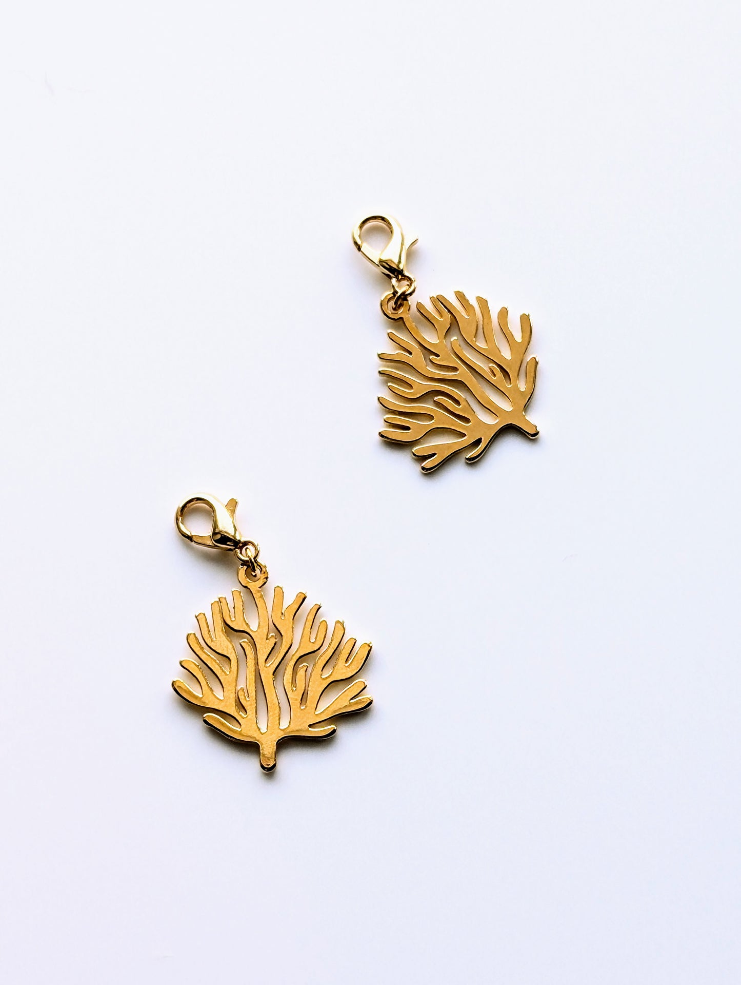 Coral reef Charm