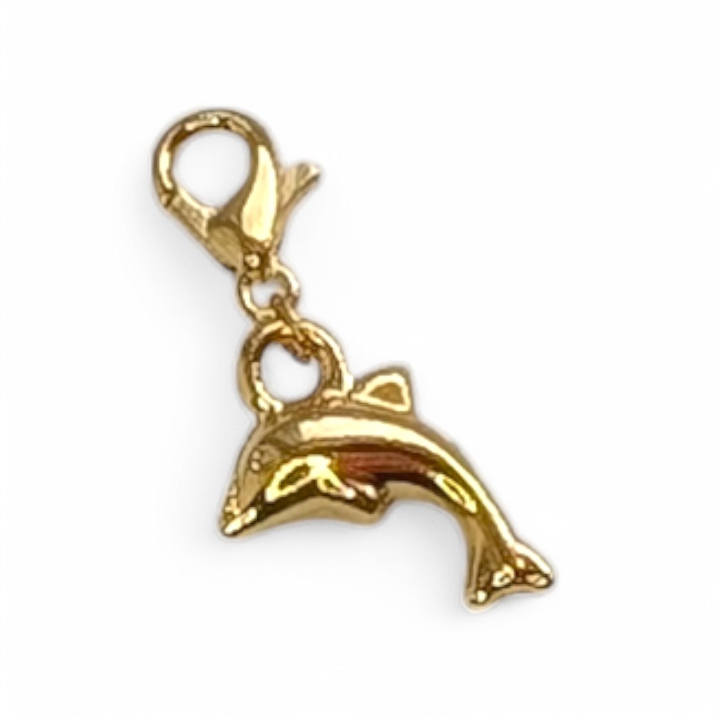 Dolphin Charm
