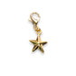 Texas Lone Star Charm