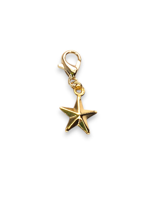 Texas Lone Star Charm