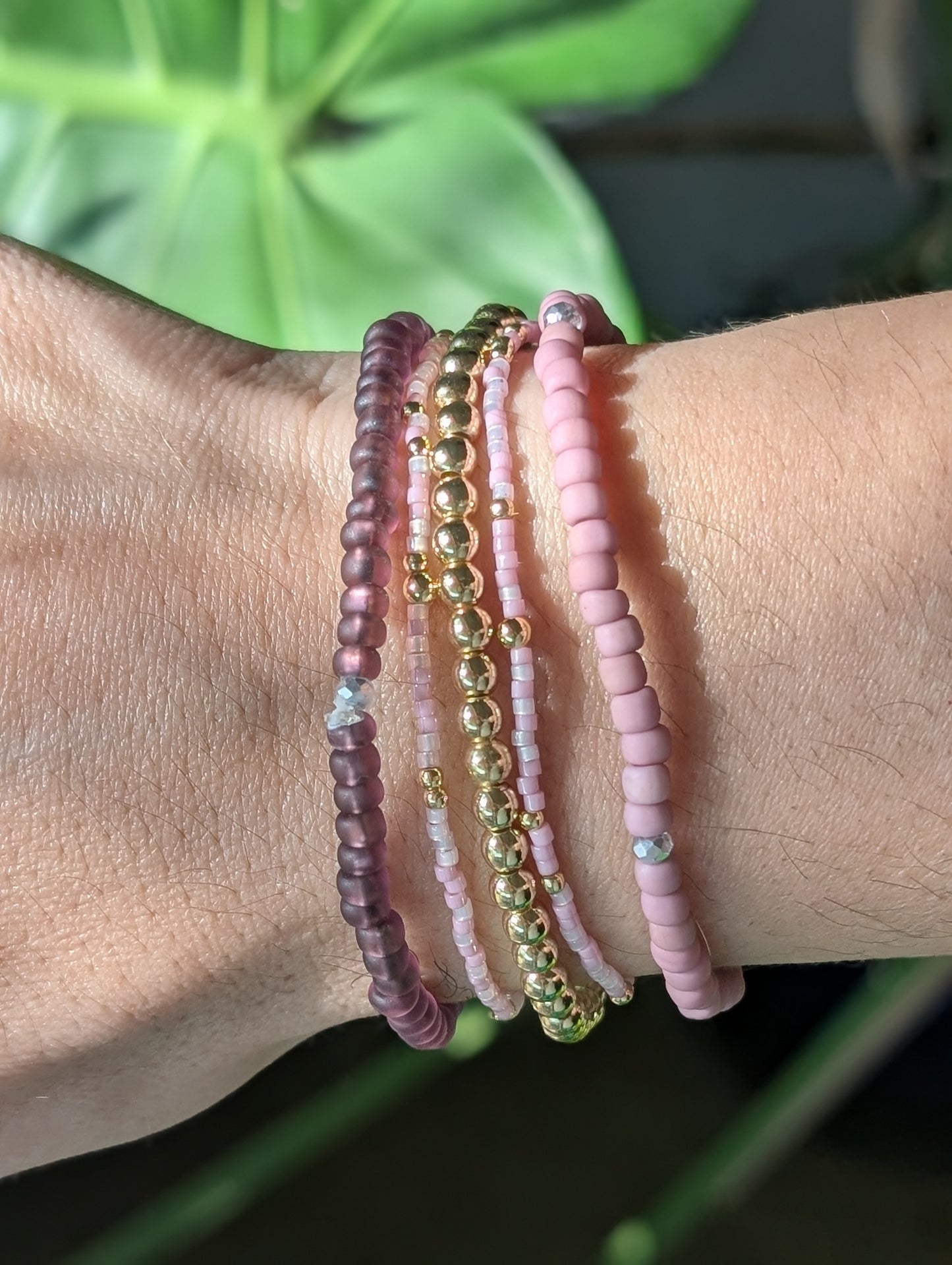 Premium Starter Stack - Coastal Rose