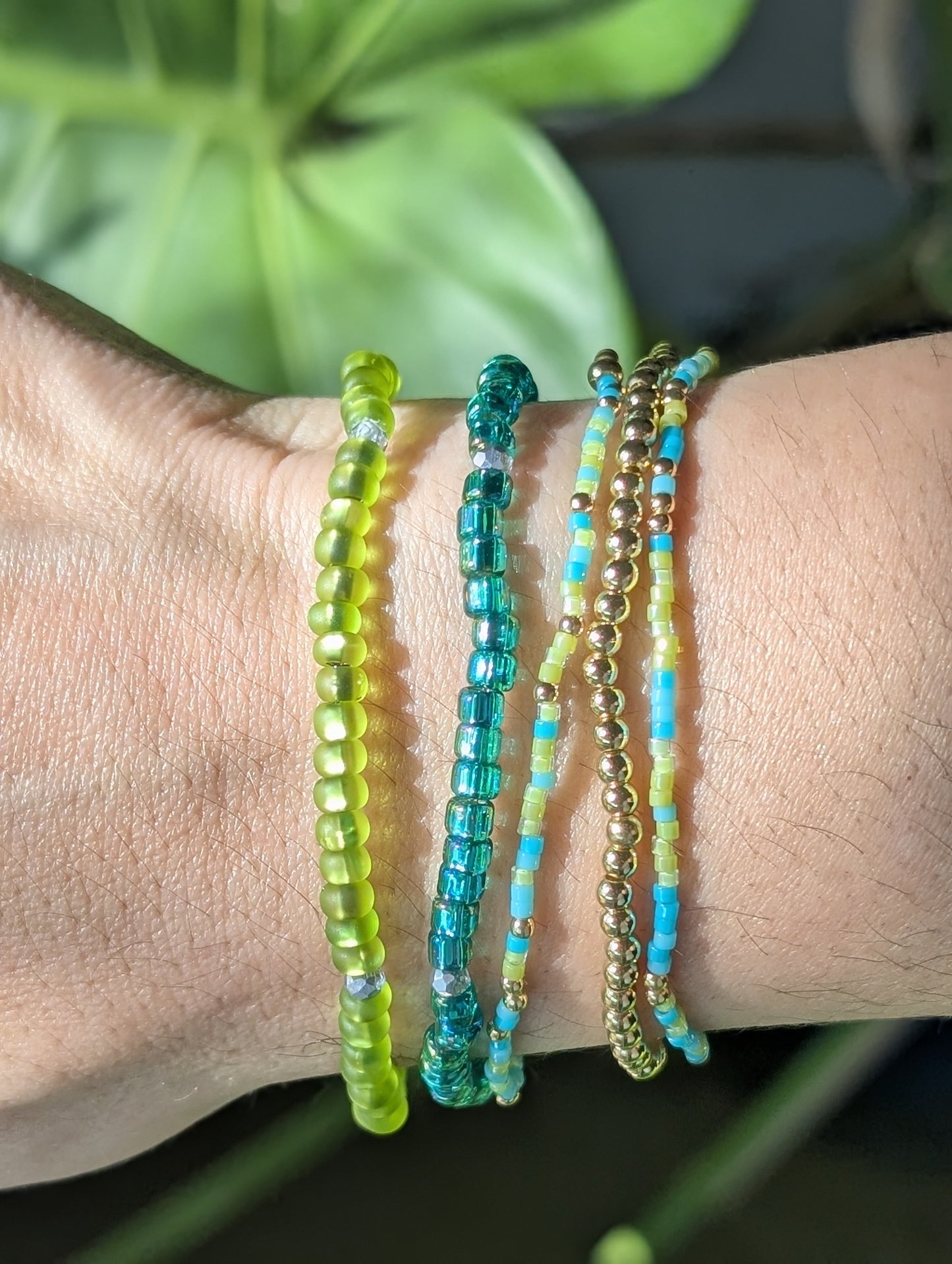 Premium Starter Stack - Island Current