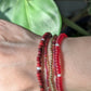 Premium Starter Stack - Coral Reef