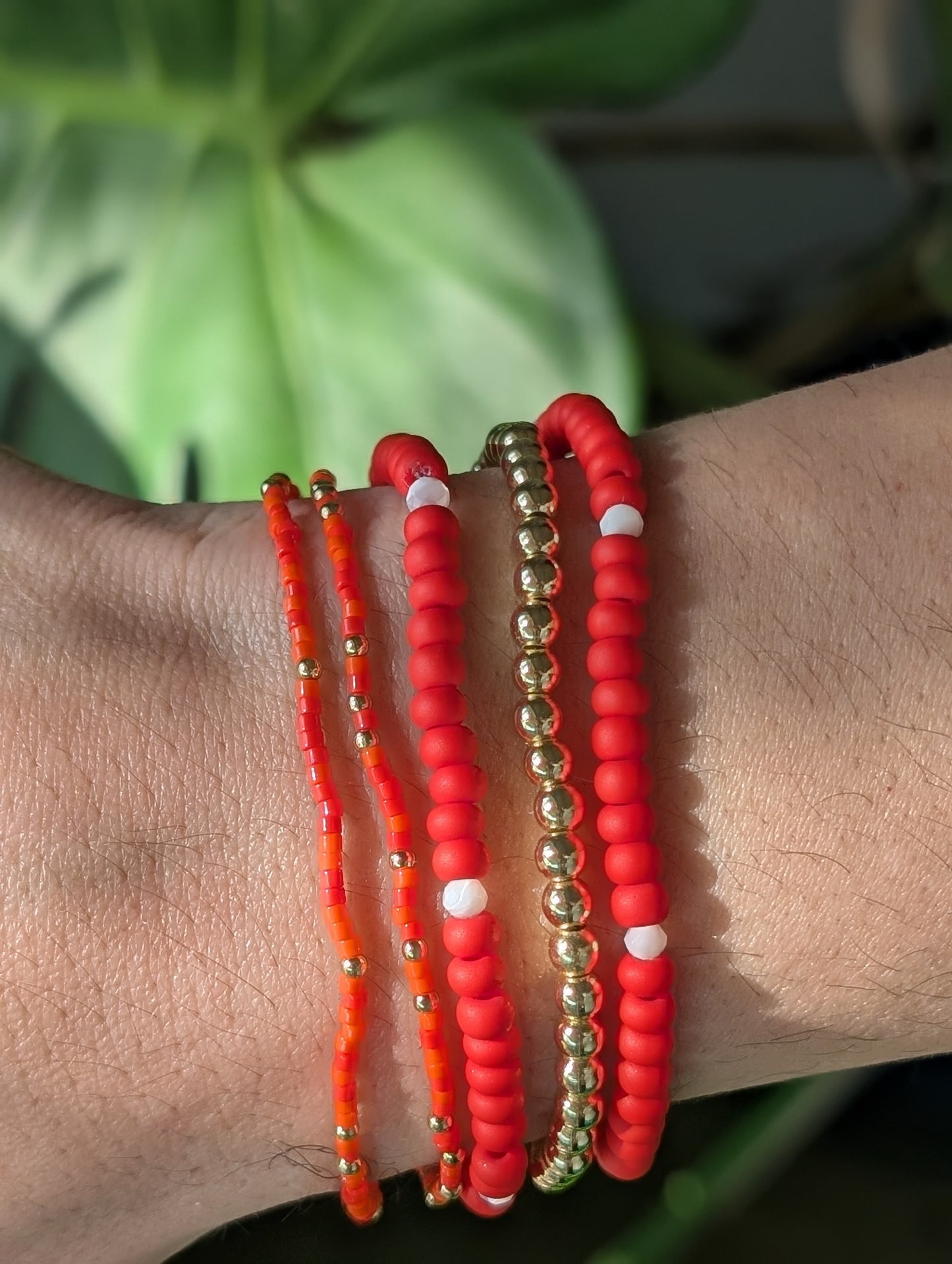 Premium Starter Stack - Wild Hibiscus